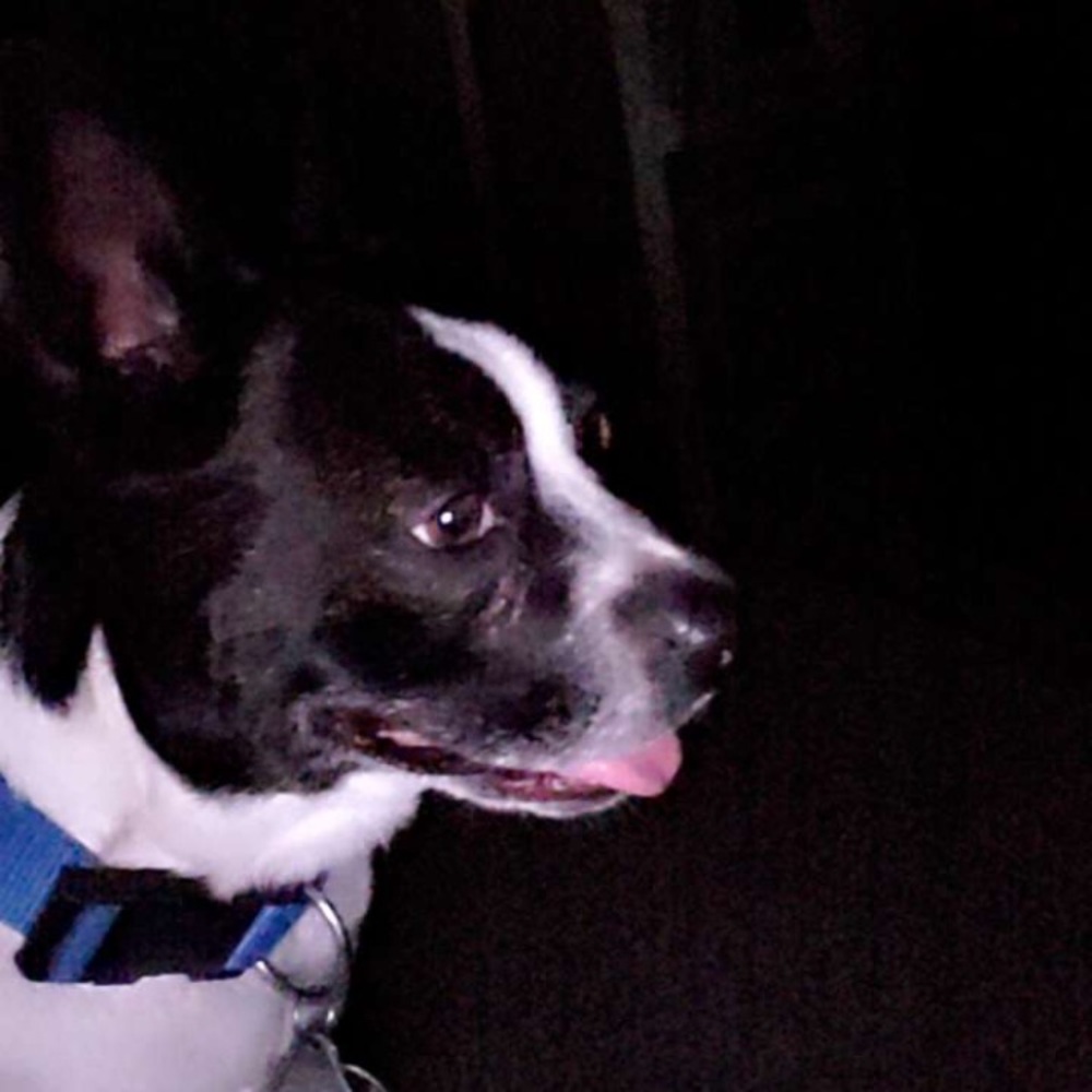 Meet your Posher, Gerardo